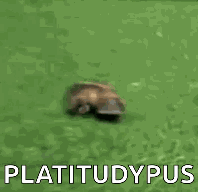Platypus Run GIF