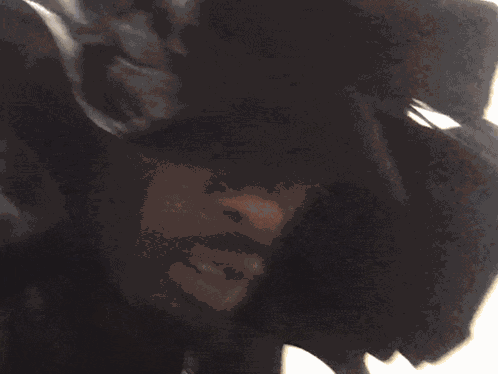 Playboi Carti Travis Scott Shh GIF