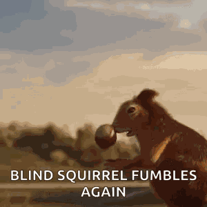 Playing Acorn GIF