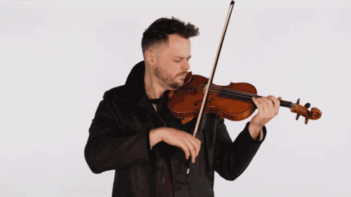 Playing Violin Rob Landes GIF