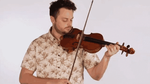 Playing Violin Rob Landes GIF