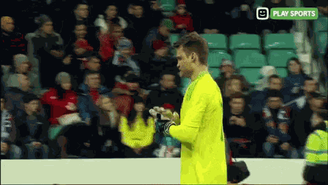 Playsports Mignolet GIF