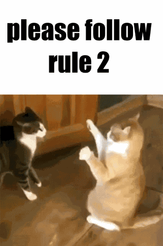 Please Follow Rule 2 GIF