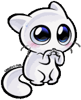 Please Please Forgive Me Sticker