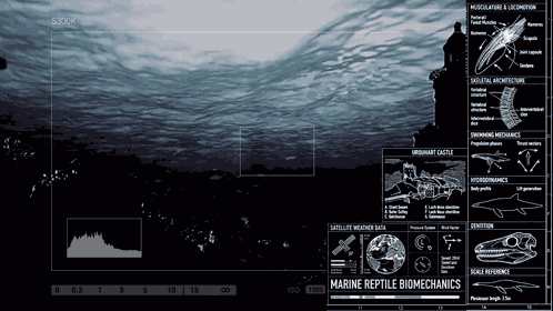 Plesiosaur Loch Ness GIF
