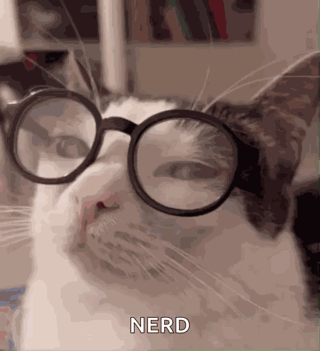Plink Nerd GIF