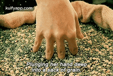 Plunging Her Hand Deepinto A Sack Of Grain.Gif GIF