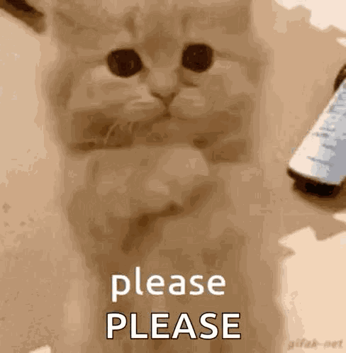 Plz Plzz GIF