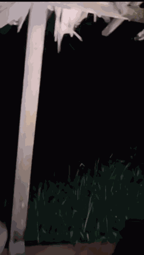 Pocong Horror GIF