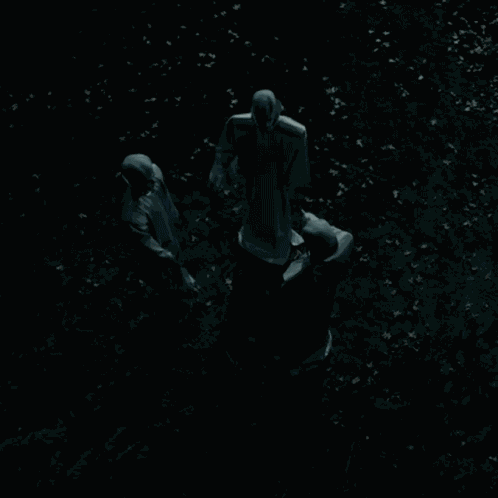 Point Kanamits GIF