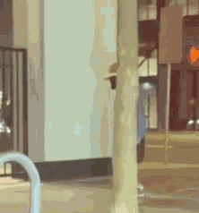 Point Pointing Finger GIF