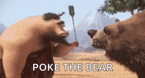 Poke Bear GIF