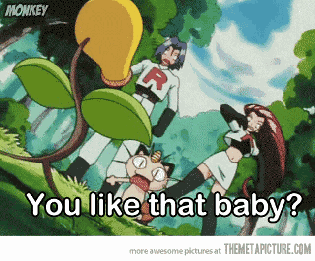 Pokemon Anime GIF