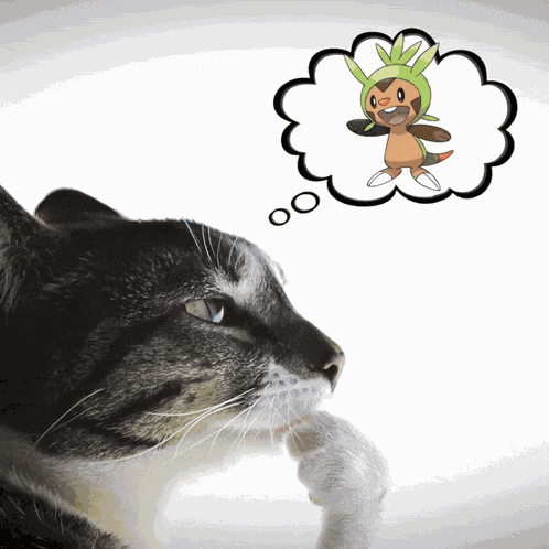 Pokemon Master Pokemon Starters GIF