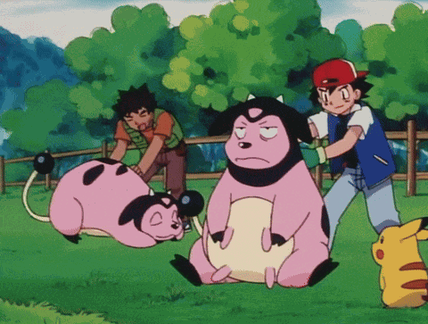 Pokemon Miltank GIF
