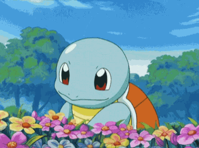 Pokemon Squirtle GIF