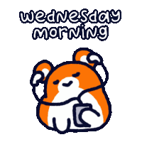 Poki Hamster Sticker