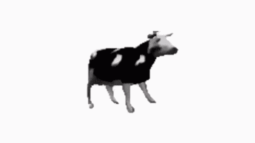 Poland Cow GIF