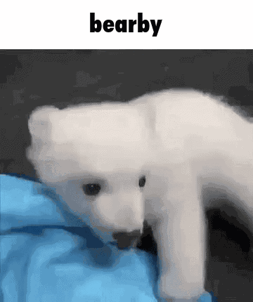 Polar Bear Cub Bearby GIF