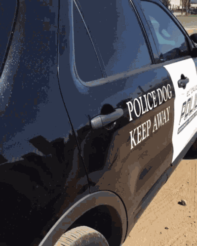 Police Dog Cute GIF