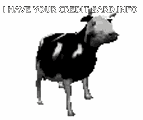 Polish Cow Cow GIF