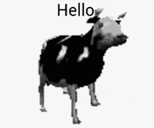 Polish Cow Meme GIF