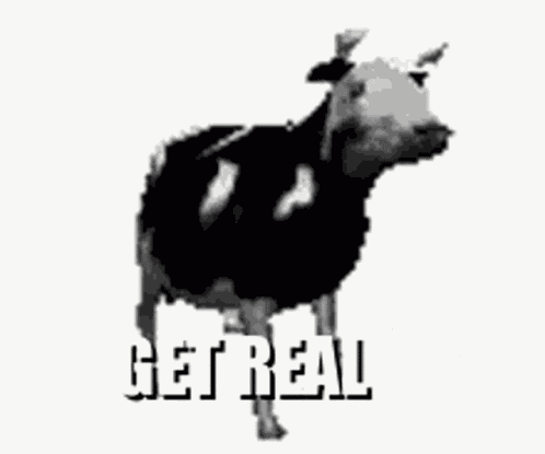 Polish Cow Meme GIF
