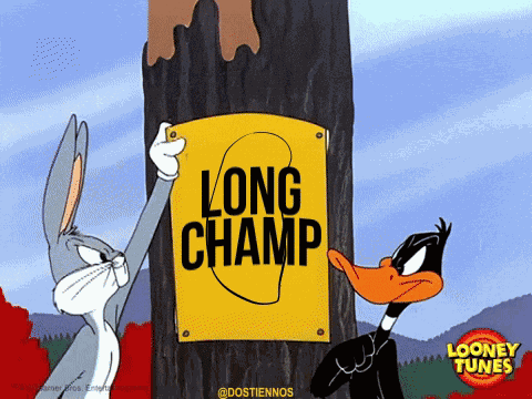 Polygone Longchamp GIF