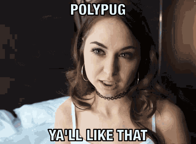 Polypug Polygon GIF