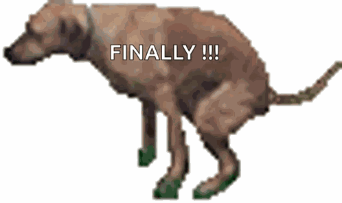 Poop Crap GIF