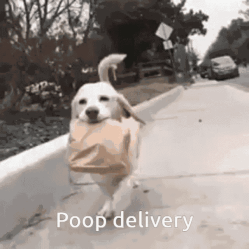 Poop Delivery Poop GIF
