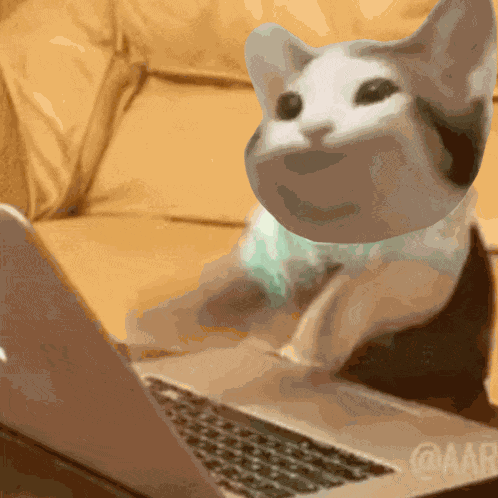 Popcat Popcatsolana GIF