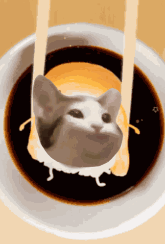 Popcat Popcatsolana GIF