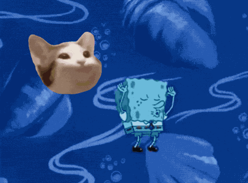 Popcat Popcatsolana GIF