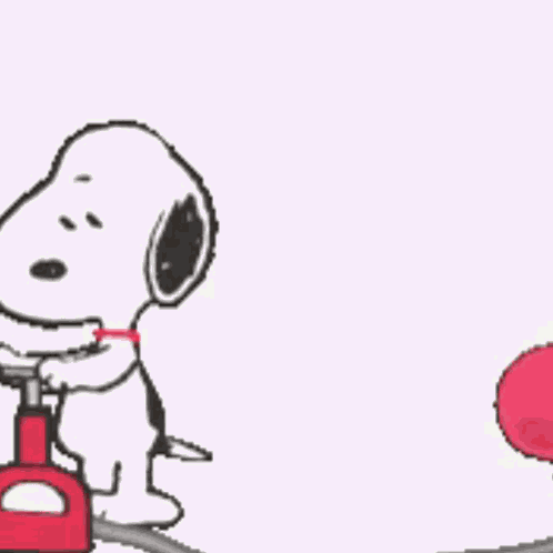 Popcat Popcatsolana GIF