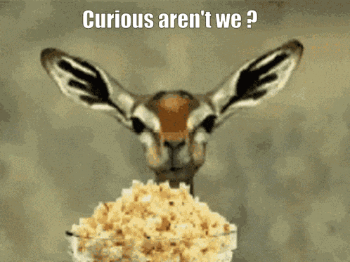 Popcorn Eating GIF