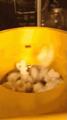 Popcorn Munchies GIF