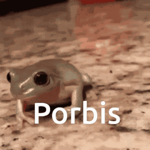 Porbis Frog GIF