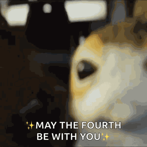 Porg Lit GIF