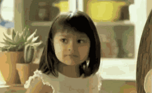 Porque No Los Dos GIF