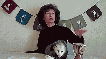 Possum Drums GIF