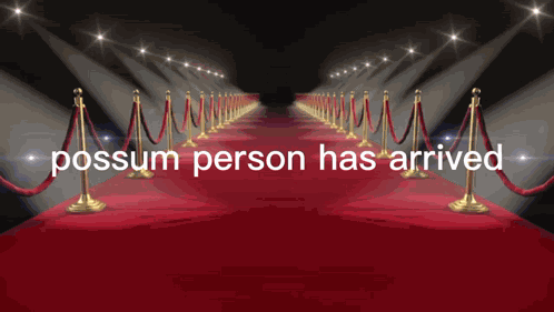 Possum Person Red Carpet GIF