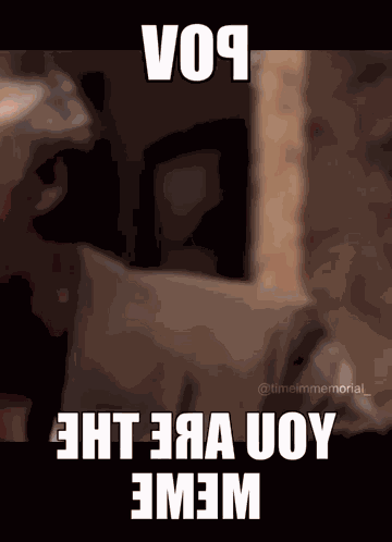 Pov You Are The Meme GIF
