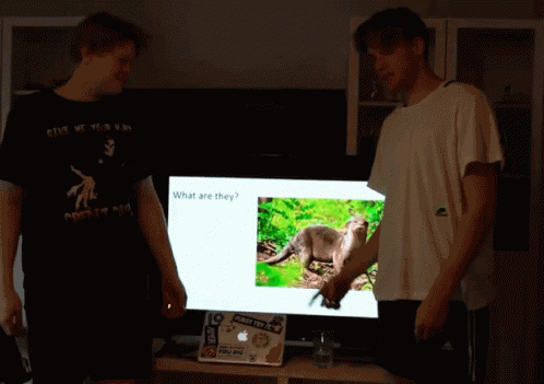 Powerpoint Otters GIF