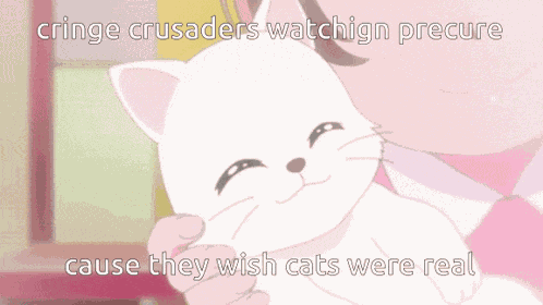 Precure Cringe Crusaders GIF