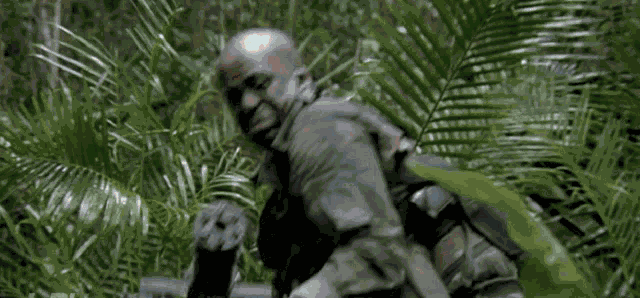 Predator Mini GIF