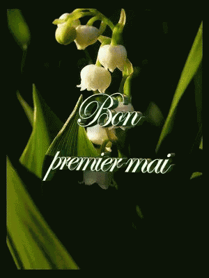 Premier Mai GIF