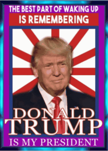President Trump America GIF