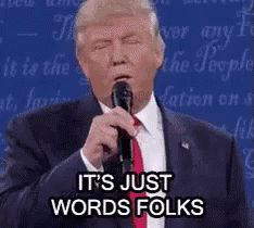 Presidential Debate - Just Words GIF
