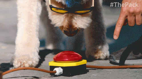 Press The Pack GIF